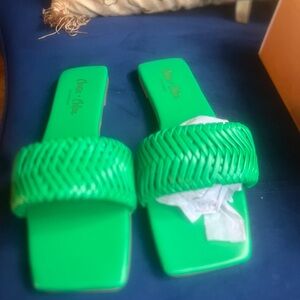 Beautiful New green slippers